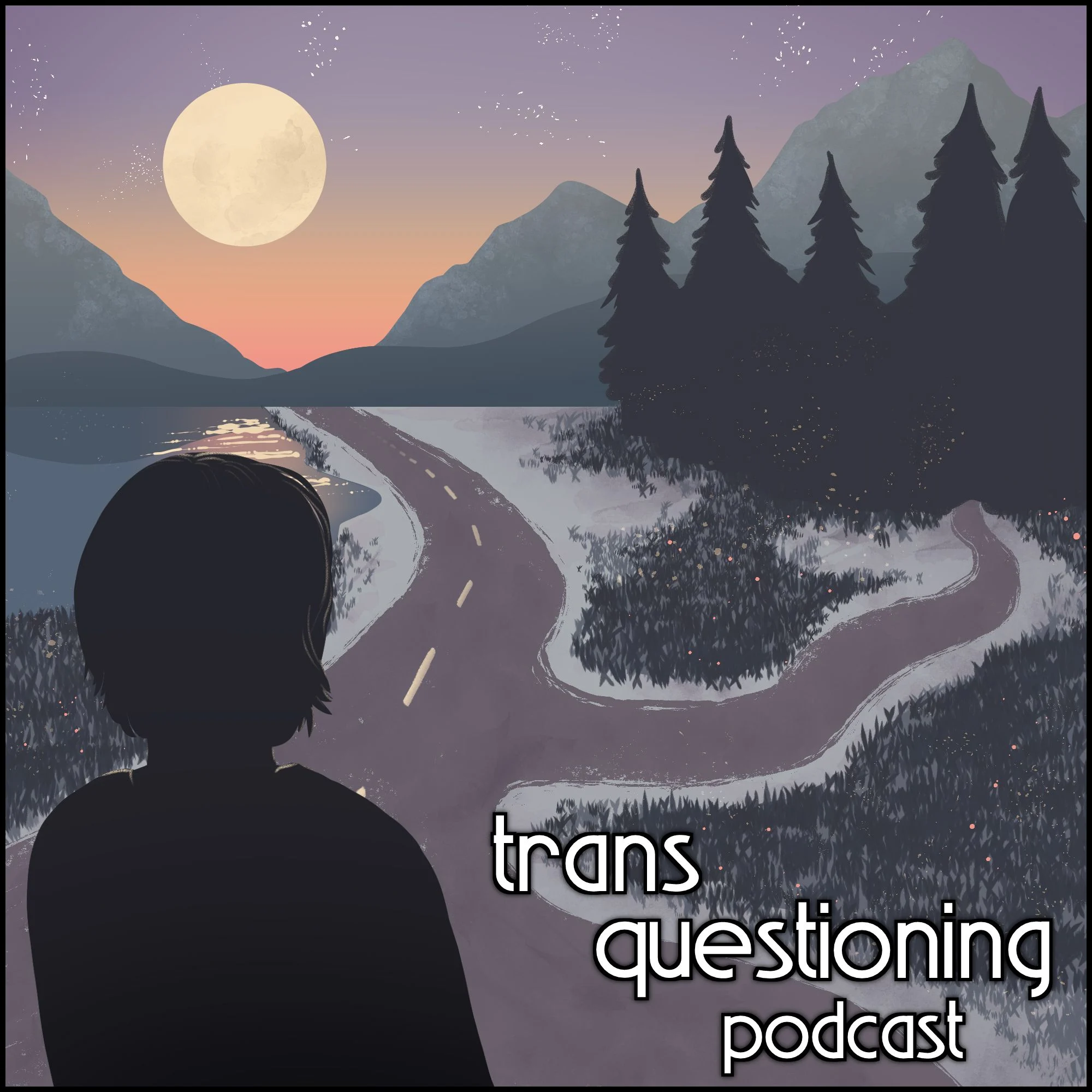 Trans Questioning